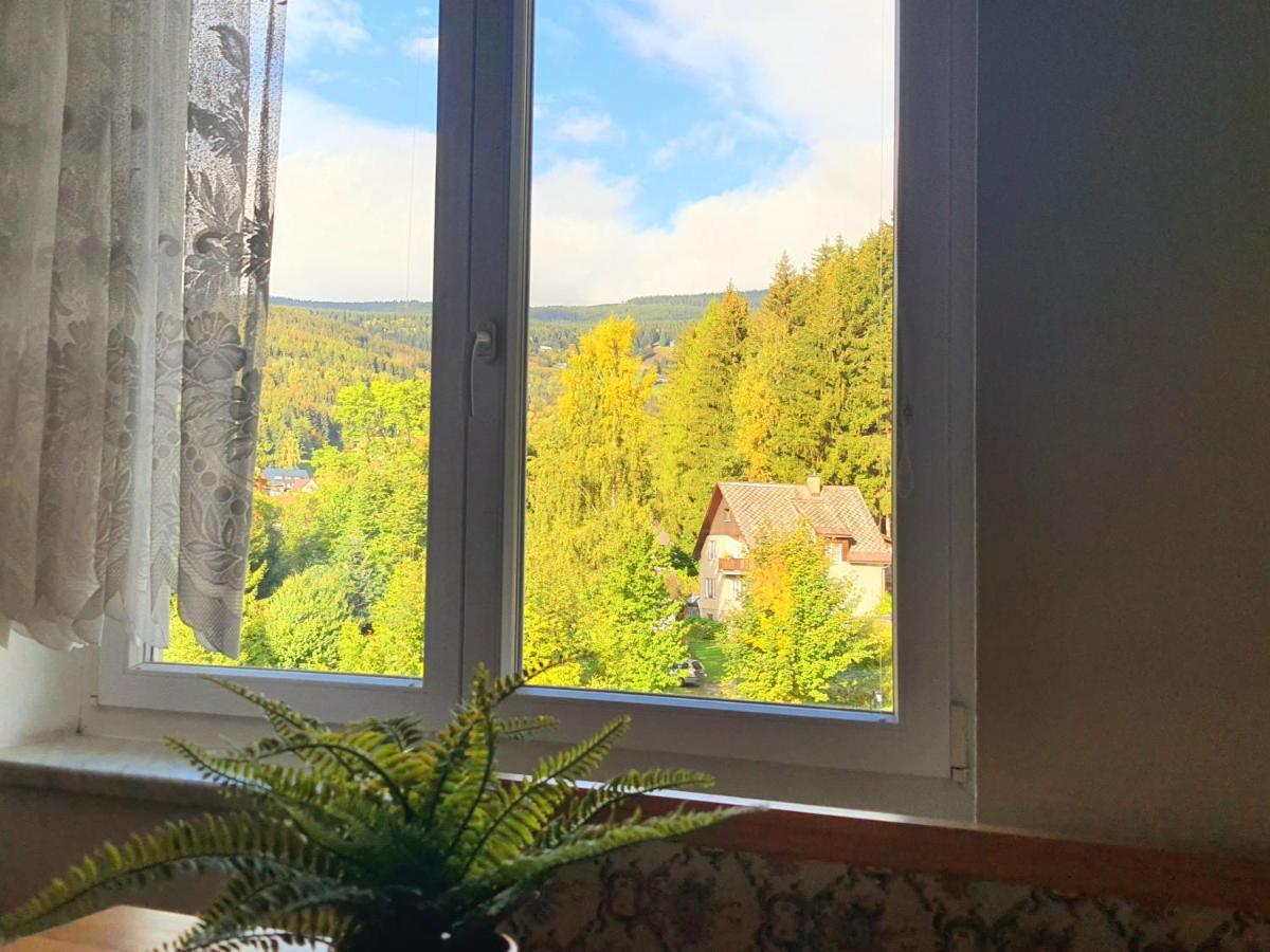 Rokytnice u vleku Rokytnice nad Jizerou Exteriér fotografie